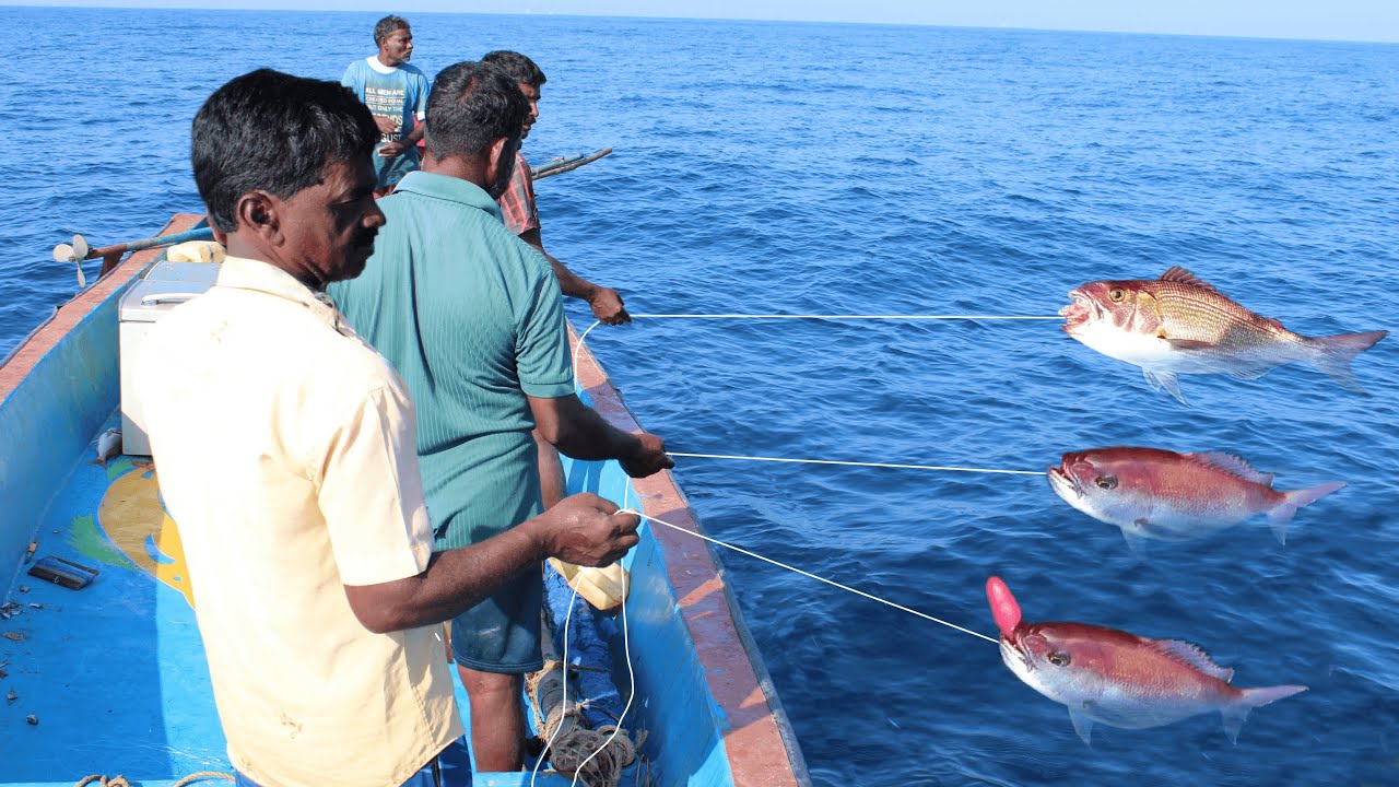 FISHING IN THE DEEP SEA 