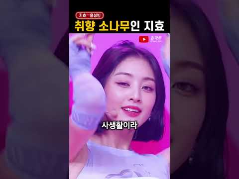 &#39;소나무 취향&#39; 트와이스 지효 남친은?