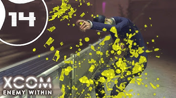 [Confounding Light] ► Let