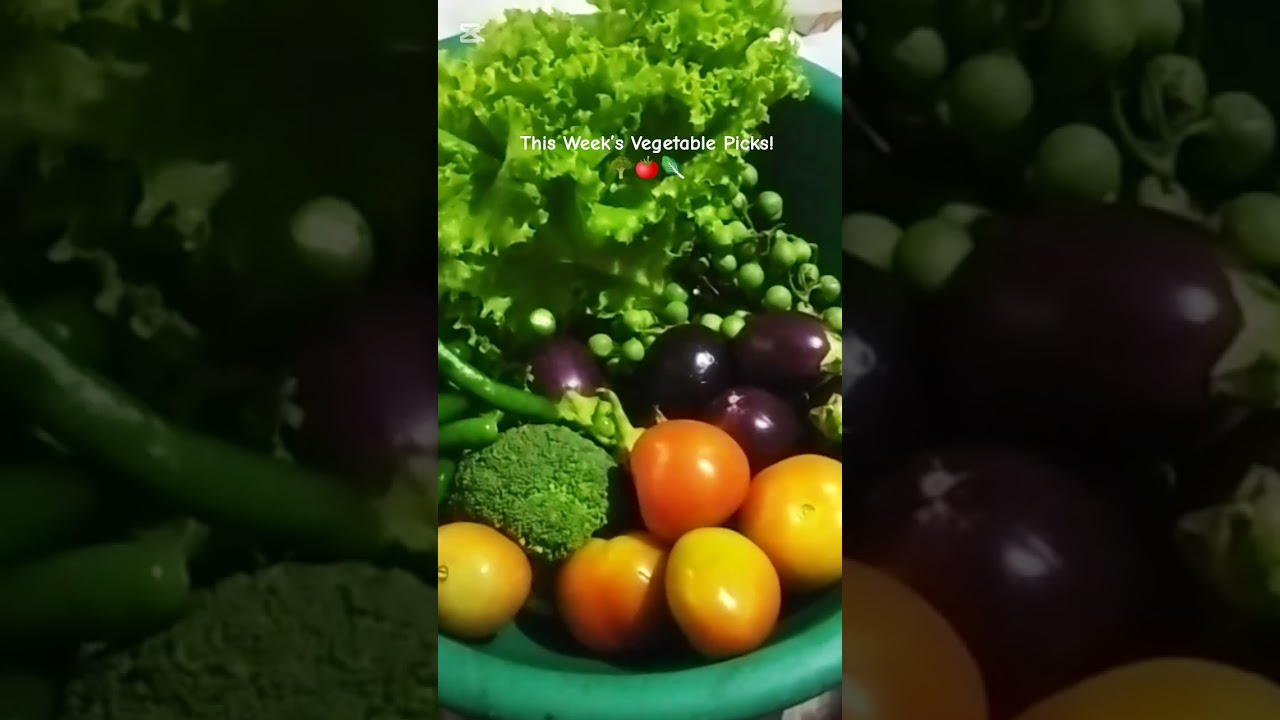 Fresh Veggies from Market 🌿🛍️ 