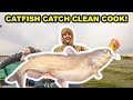 Catching GIANT CATFISH with CUTBAIT!!! (Catch Clean Cook)