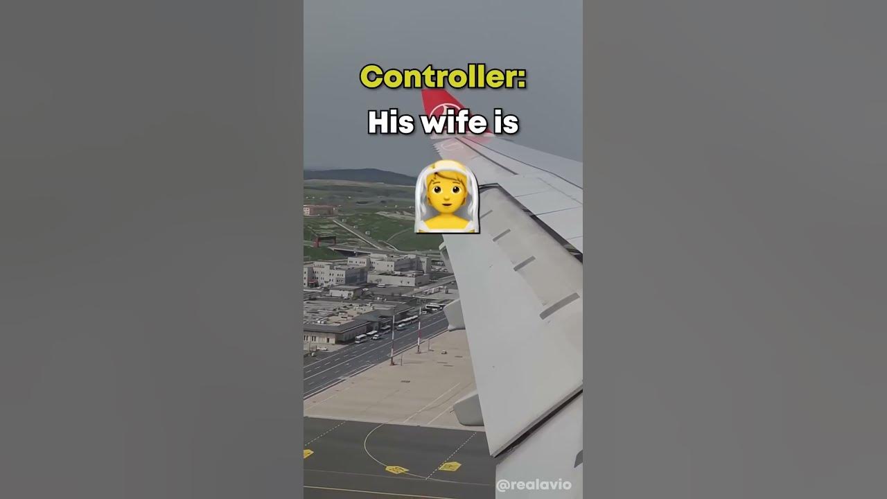 Funny bird - YouTube