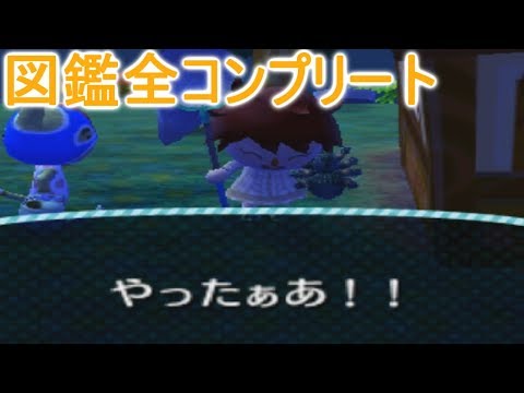 とび森】図鑑を100%コンプリートしたら何がもらえるのか！ - YouTube