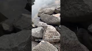 Squirrel Man Tim Finds A Northern Water Snake - Summit Environmental Solutions