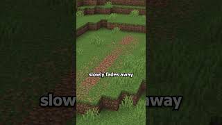 This mod makes paths more immersive #minecraft