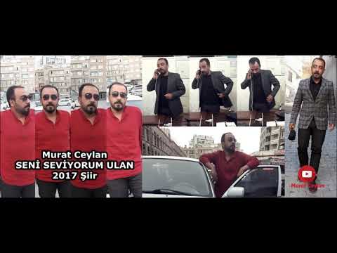 Murat Ceylan SENİ SEVİYORUM ULAN 2017 Şiir