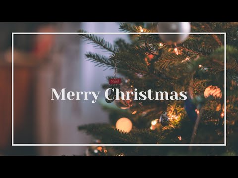 CHRISTMAS VIDEO | MERRY CHRISTMAS