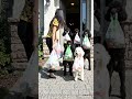 American Daily Routine l Morning to Night vlog 😍 #trending #usa #shots
