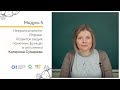 Нейропсихологія 2-2. Вправи. Розвиток вищих психічних функцій в онтогенезі. Онлайн-курс для вчителів