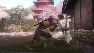 Ryu vs Hayate