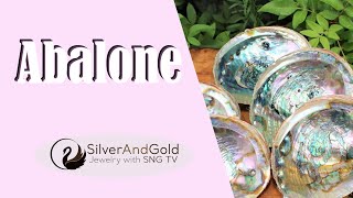 Abalone 101: Everything You Need to Know About These Gorgeous Sea Gemstone!