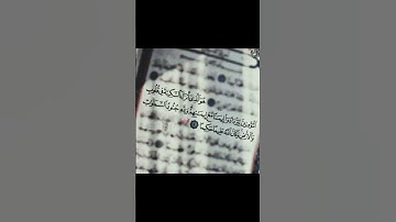 قرآن كريم #سورة الفتح# اللهم اجعل القرآن ربيع قلوبنا ❤