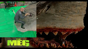 How much did the Meg cost?