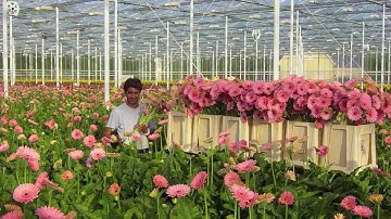 Priva Intégro hardware update (German)