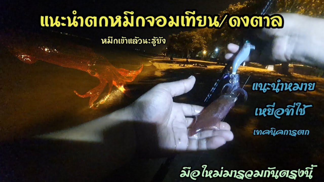 ตกหมึกหาดจอมเทียนหาดดงตาล #topstoryfishing #ตกหมึก #พัทยา #หาดดงตาล #หาดจอมเทียน