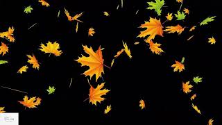 Animated Autumn Leaves | Loop | Animation Background | Relaxing | Screensaver | No Sound