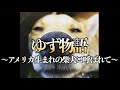 犬ドキュメント|ゆず物語〜アメリカで生まれた柴犬と呼ばれて〜