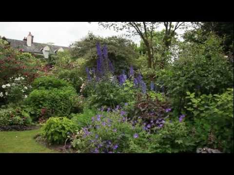 Vidéo: Lianes vivaces comme option pour le jardinage vertical