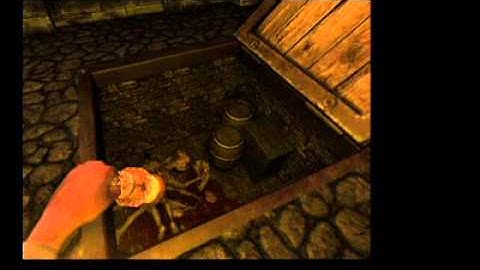 Amnesia custom story: Can