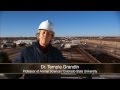 Video Tour of Beef Plant Featuring Temple Grandin
