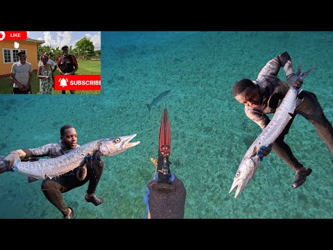 Hunting Giant Barracudas Todays / Meeting A Set Of My Subscribers For The First Time