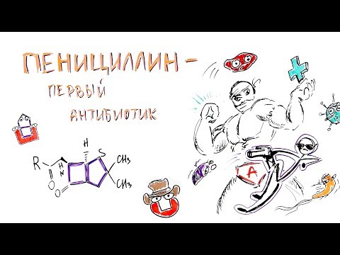 Пенициллин - первый антибиотик