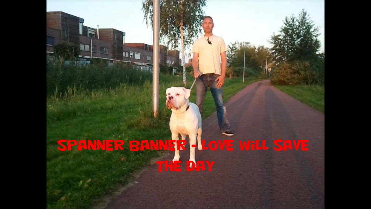 洋楽 Spanner Banner Love Will Save The Day Spanner Banner - Love will save the day (undying love riddim 1995