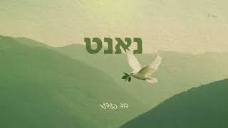 דוד פעדער - נאנט