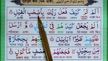 সুরা ফীল | সূরা ফীল বাংলা অর্থসহ শিখুন খুব সহজে ।  Quran - 105 - Surah Al-Fil | سورة الفيل