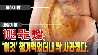 10년 묵은 뱃살, 이것 챙겨먹었더니 싹 사라졌다. 다…