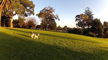 MultiWii 2.1 Low Pass Filter Eliminates Wobbles