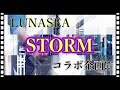 ぺんぎんが!LUNA SEA『STORM』コラボで弾いてみたよ♪