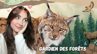 Le Lynx boréal : Gardien de nos forêts 🐾