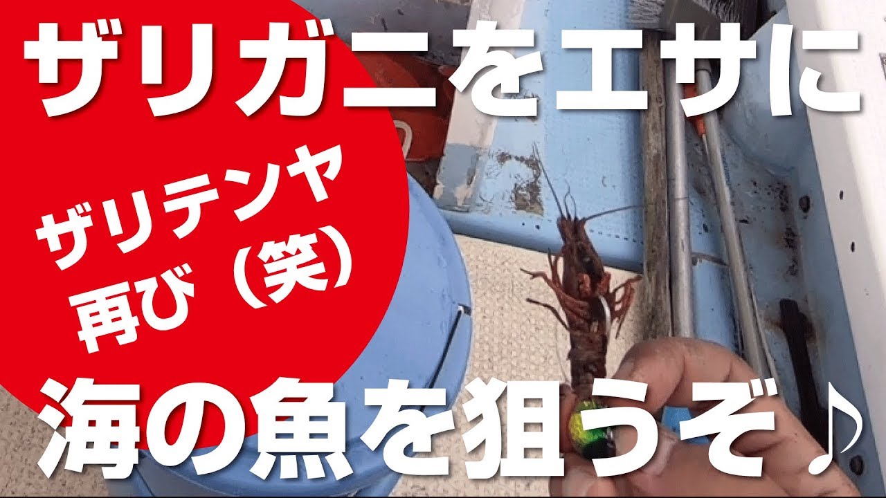 Crayfish Tenya is back! Let's play straw with crayfish! - YouTube