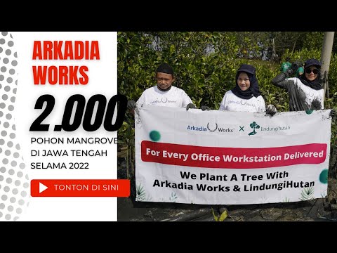 Arkadia Works Berkolaborasi untuk Menanam 2.000 Mangrove di Jawa Tengah