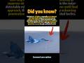 Mind-blowing! Fighter jets chasing missiles#shorts