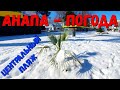 #АНАПА или СИБИРЬ? ПОГОДА 9.02.2020 СНЕЖНАЯ КРАСОТА - ПРОГУЛКА ПО ЦЕНТРУ И МОРЕ!!!