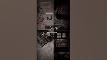 محمد رسول الله والذين معه أشداء على الكفار رحماء بينهم....|| سورة الفتح || ياسر الدوسري