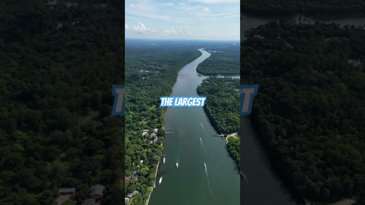 Before the Jungle: Best Cities to Start Your Amazon Trip