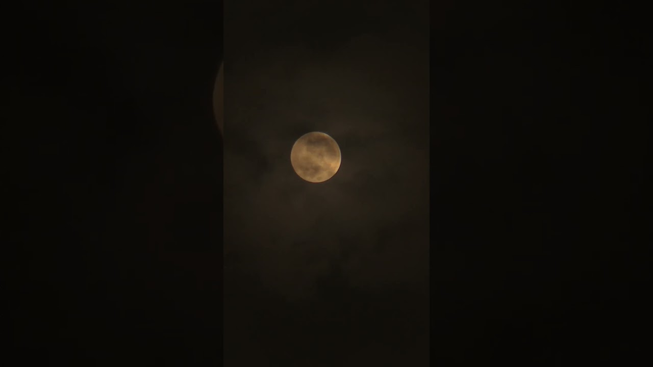 Moonset with phone lens #fullmoon #earlymorning #promode #timelapse #phone #videography #shorts