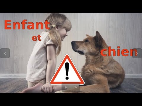 Vidéo: Comment Réduire Les Morsures De Chien Chez Les Enfants En Enseignant Aux Enfants Comment Approcher Les Chiens