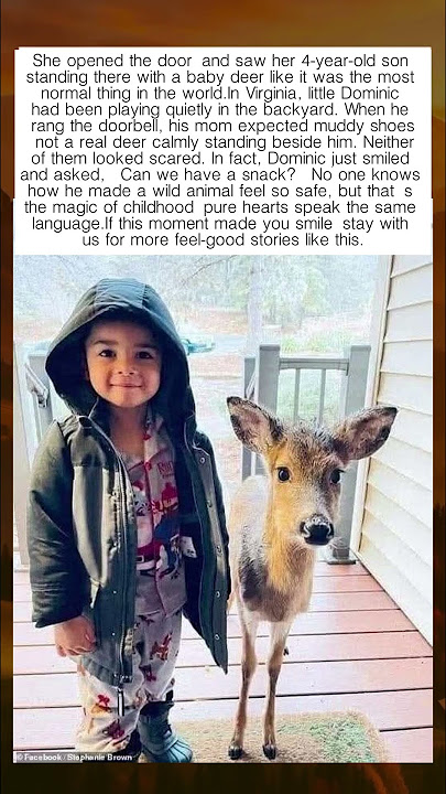 🫂♥️ Boy Brings Baby Deer Home Like It's Normal - YouTube