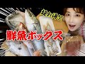 【お魚時短レシピ】30分で８品の魚料理に挑戦！誰でも簡単に作れるレシピ紹介します！！