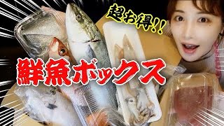 【お魚時短レシピ】30分で８品の魚料理に挑戦！誰でも簡単に作れるレシピ紹介します！！