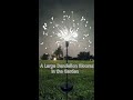 💡A Large Dandelion Blooms in the Garden💡