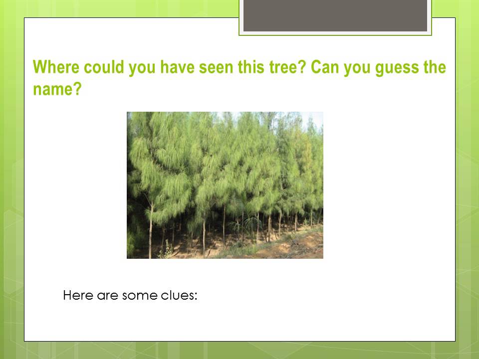 Common Indian Trees And Their Use YouTube common-indian-trees-and-their-use-youtube