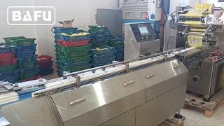 soap packaging machine, soap wrapping machine, dishwasher tablets packaging machine,flow wrapper