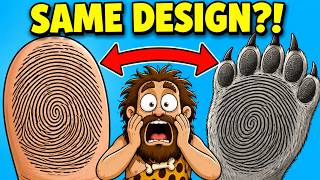 Why Fingerprints Are More Than Just Uniqueness