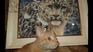 Dimensions 35244 Снежный барс (Snow Leopard) Dimensions 35244 Снежный барс (Snow Leopard)