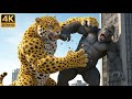King Kong Vs The Giant Jaguar The Revenge Of The Beasts 